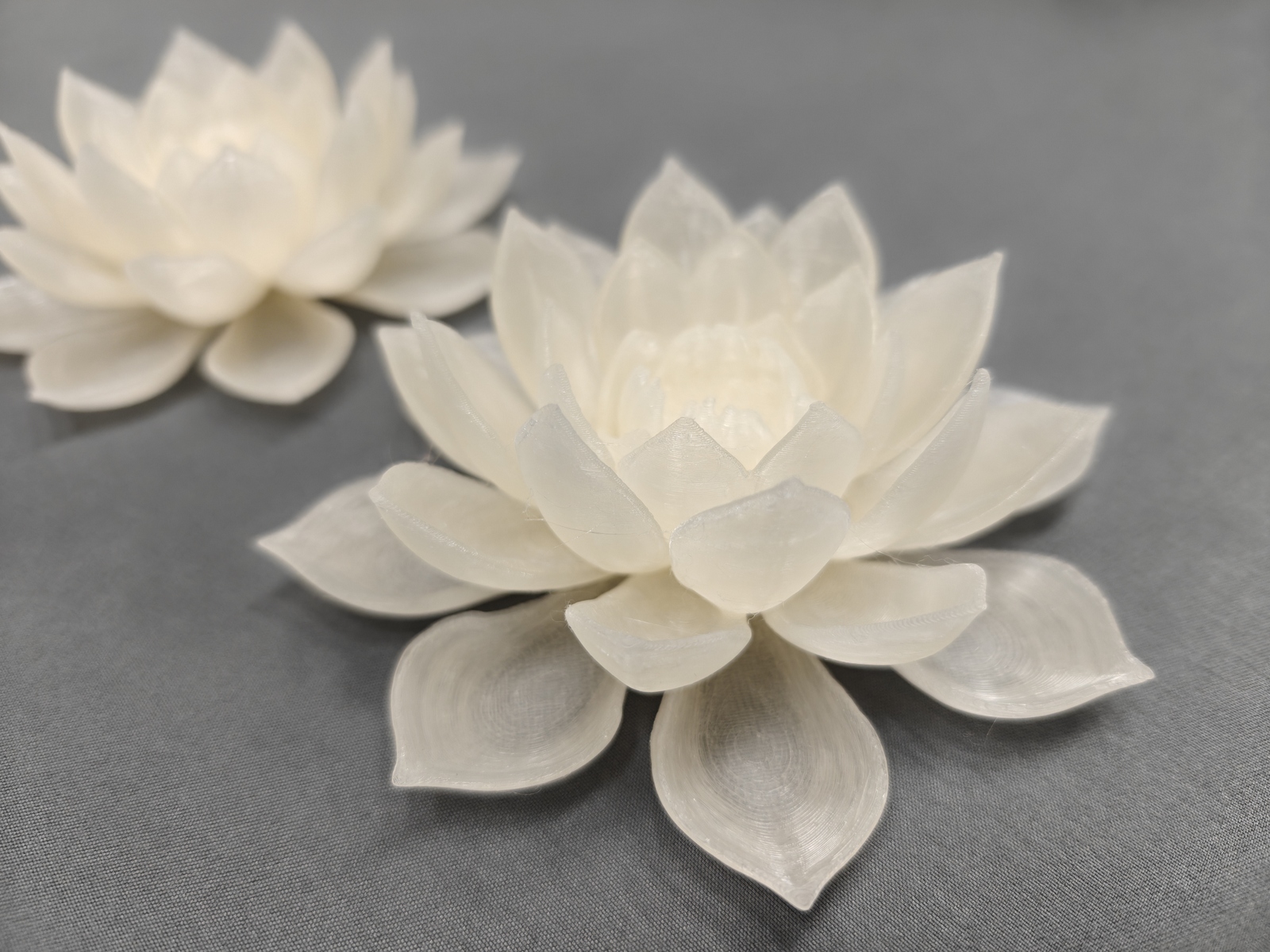 IMG20250912114113 (2)