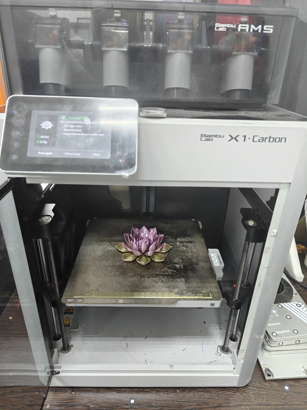 IMG20250912182935 (2)